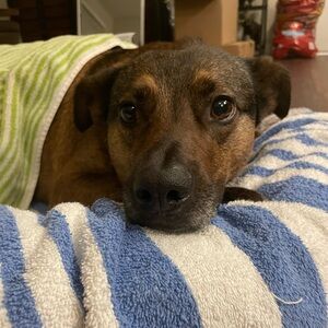 Jewelry live show quick list